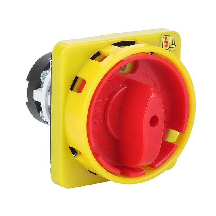 20A প্যাডলক অফ-অন দুই পজিশন কম্বিনেশন রোটারি ক্যাম সুইচ