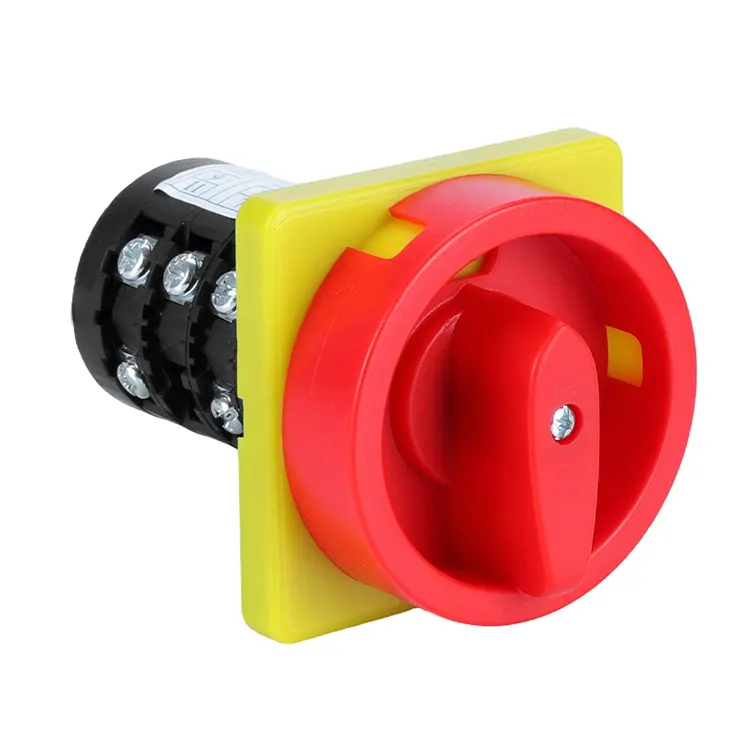 20A প্যাডলক দুই অবস্থানের সমন্বয় ঘূর্ণমান ক্যাম সুইচ