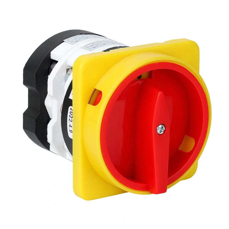 50A প্যাডলক অফ-অন দুই পজিশনের কম্বিনেশন রোটারি ক্যাম সুইচ