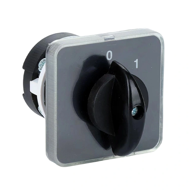 LW31 20A অফ-অন দুই পজিশনের কম্বিনেশন রোটারি ক্যাম সুইচ